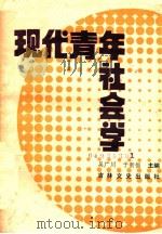 现代青年社会学 1990 PDF电子版封面 7805283443 吴广川,于新恒主编;李英,王晓书,郭丽娟等副主编
