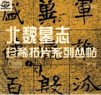 元賥墓志   1999  PDF电子版封面  7531422832  卢林编 