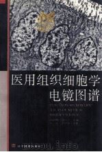 医用组织细胞学电镜图谱   1993  PDF电子版封面  7538227539  高俊峰，刘今方主编；王彦，李珍年主审 