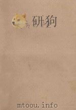 天方历险   1988  PDF电子版封面  7539100389  王瑞琴，陶庆军编译 