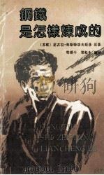 钢铁是怎样炼成的 1991 PDF电子版封面 7805343322 (苏)奥斯特洛夫斯基原著;郑松生缩写