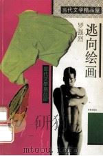 逃向绘画   1993  PDF电子版封面  7805755329  罗强烈著 
