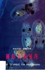 摄影表现技巧 1985 PDF电子版封面 鲁争编著