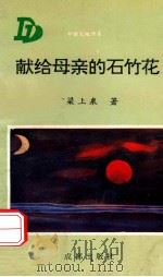 献给母亲的石竹花   1994  PDF电子版封面  7805756511  染上泉著 