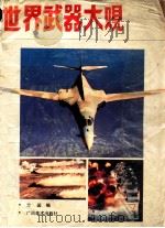 世界武器大观  画册   1991  PDF电子版封面  7805822212  方园编 