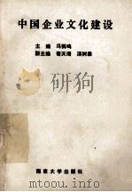 中国企业文化建设 1991 PDF电子版封面 7305010944 冯鹤鸣主编;荀天海,汤树森副主编