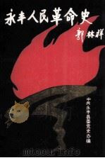 永丰人民革命史（1995 PDF版）