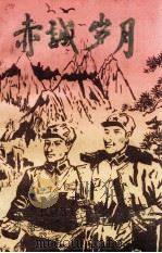 赤诚岁月 PDF电子版封面 中国人民解放军西南服务团江津团史研究会