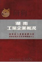 湖南工业企业概况1986 1986 PDF电子版封面 湖南省工业普查办公室湖南省统计信息咨询服务中心编