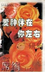 爱神伴在你左右 1997 PDF电子版封面 7539909617 阡佰主编