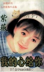 我的心给你 1998 PDF电子版封面 7805277540 紫薇著