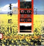 青海风情 1999 PDF电子版封面 722501675X 辛光武,张卫疆文字撰稿;马永波英文翻译