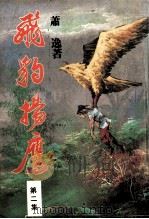 飞豹扬鹰  第2集（ PDF版）