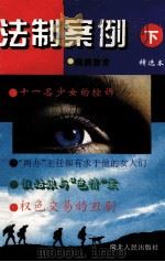 法制案例 下 1994 PDF电子版封面 721601328X 李爱萍主编