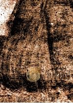 素描自学教程   1991  PDF电子版封面  7536802773  李敦祥编著 