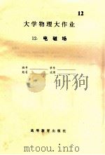 大学物理大作业  12  电磁场（ PDF版）