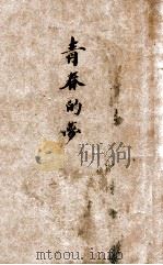青春的梦   1924  PDF电子版封面    张闻天著 