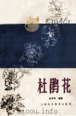 杜鹃花 1989 PDF电子版封面 7532308014 王守中编著