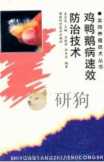 鸡鸭鹅病速效防治技术   1998  PDF电子版封面  753717047  宗武主编；宋跃军，邓丰华编著 