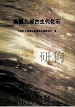 新疆北部古生代化石 1999 PDF电子版封面 7305017434 中国科学院南京地质古生物研究所著