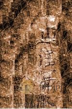 歌舞江山 1948 PDF电子版封面 刘云若著