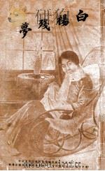 白杨残梦  哀情小说（1916 PDF版）