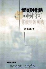 炼狱里的灵魂 1998 PDF电子版封面 7540518189 郑永慧译