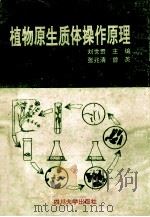 植物原生质体操作原理 1994 PDF电子版封面 7561410891 刘世贵主编