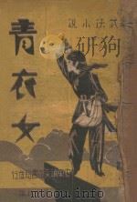 青衣女  武侠小说  18   1942  PDF电子版封面    康白云著 