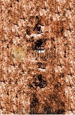 金谜之场,一名折柳趣史 4 1934 PDF电子版封面 凤俦生著
