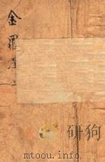 金罗汉  长篇武侠小说  正级  正集（ PDF版）