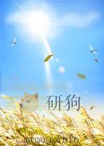 管理·管理·管理 1987 PDF电子版封面 何钟秀著
