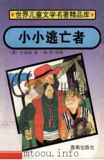 小小逃亡者 1995 PDF电子版封面 7806172408 (德)杰安娜·赫实尔·史碧丽(Johanna Hensser