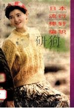 日本流行棒针编织 1989 PDF电子版封面 701204X 韩春勉,李敬敏,王慧,巨虹译