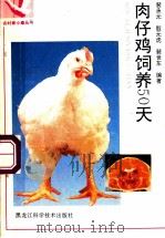 肉仔鸡饲养50天   1996  PDF电子版封面  7538826653  裴承元，殷元虎，裴世东编著 