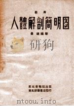 艺用人体解剖简明图   1948  PDF电子版封面    曼硕编制 