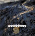 张建华绘画作品  心声探求     PDF电子版封面    张建华绘 