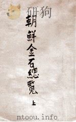 朝鲜金石总览 上 1919 PDF电子版封面 朝鲜总督府著