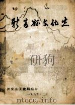 新安县文化志   1985  PDF电子版封面    新安县文化局编 