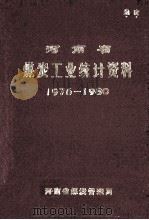 河南省煤炭工业统计资料 1976-1980 1982 PDF电子版封面 河南省煤炭管理局编