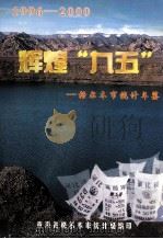 辉煌“九五”格尔木市统计年鉴  1996-2000（ PDF版）