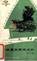 钢铁是怎样炼成的 缩写本 1989 PDF电子版封面 7536505116 (苏)奥斯特洛夫斯基原著;柯识津编译