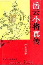 岳云小将真传   1990  PDF电子版封面  7535805442  尹世霖著 