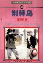 荆棘鸟 精彩片断 1995 PDF电子版封面 7810303821 刘健书
