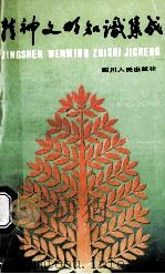 精神文明知识集成   1989  PDF电子版封面  7220007086  李克漧主编；白德明，赖干生，陈家元等编委 