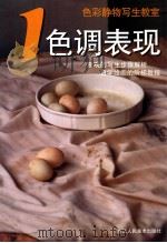 色调表现 1999 PDF电子版封面 7534009138 房爱武著;施绍辰丛书主编