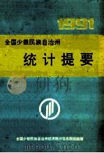 全国少数民族自治州统计提要 1991 1992 PDF电子版封面 全国少数民族自治州经济统计信息联络组编