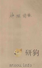 神探绮缘   1999  PDF电子版封面  7537817310  （台湾）艾雪儿著 