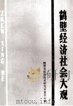 鹤壁经济社会大观 1986 PDF电子版封面 鹤壁市经济技术研究开发中心编