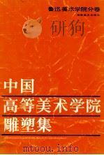 中国高等美术学院雕塑集-鲁迅美术学院分卷 1988 PDF电子版封面 7535601685 田金著